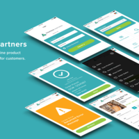 Strategic Partners