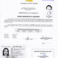 Civil Service Professional Eligibility