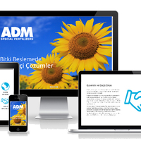 Adm Web Design