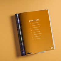 Portfolio Thumbnail 17