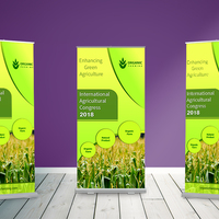 Rollup Banner Design