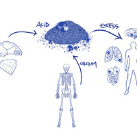 [Drawing] Medical Related 2/6