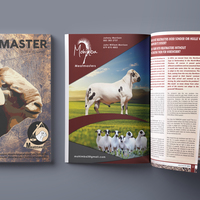 Magazines, Annual Reports & Journals