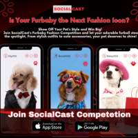 Social Media Designs per Brand