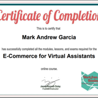 E-commerce Course Certificate