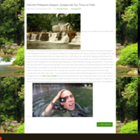 Wordpress Management