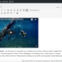 WordPress Management