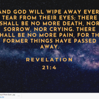 Sample Facebook Post