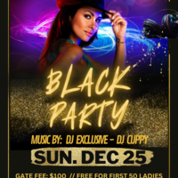 Canva Graphic Design - Party Flyer