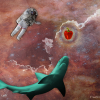 The Unexplored