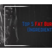 Template for Fat Burner Article Series (deals4delts.com)