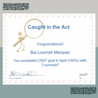 My achievements as Customer Service