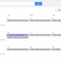 Google Calendar Management