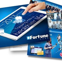 Fortune Care 2013 Annual Report