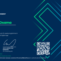 My virtual assisstant certificate