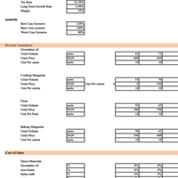 Financial analysis input for a start up business 