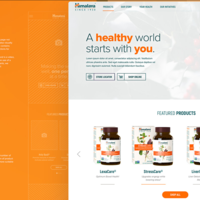 Himalaya e-commerce development
