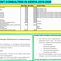 Consulting of Multiple Projects 