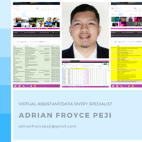 Data Entry Works