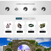 Portfolio Thumbnail 1