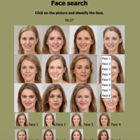 Face Search (Ruby on Rails...)