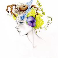 Art & Design