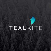 TealKite Logo Design