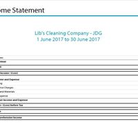 Xero Income Statement