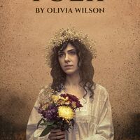 Novel Book Cover