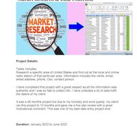Market Research and Data Collection Work