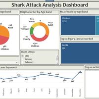 Shark attack dashboard 