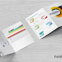 Folder - enhancing of logo, typography, 