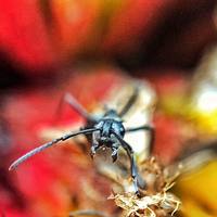 Portfolio Thumbnail 3