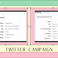 Twitter Management and Marketing