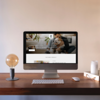 Shopify Store design