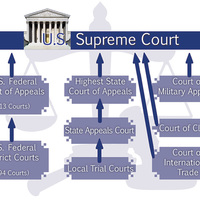 Illustration for book, American Law Made Simple