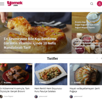 Portfolio Thumbnail 3