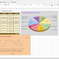 Google sheets/Microsoft Excel Management