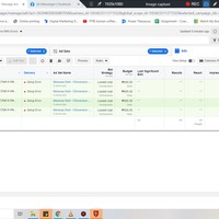 FB Ads Manager