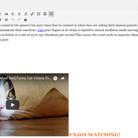 Portfolio Thumbnail 6