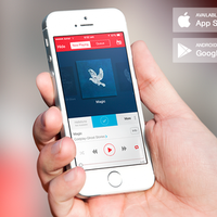 WYNK Music App