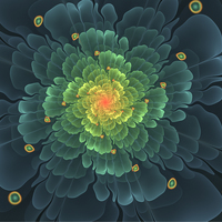 Portfolio Thumbnail 14