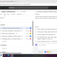 Asana task management