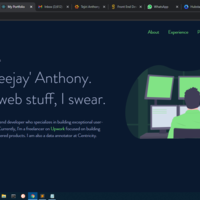 Portfolio Thumbnail 0