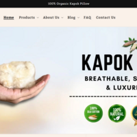 Shopify Website