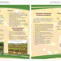 3-fold Brochure