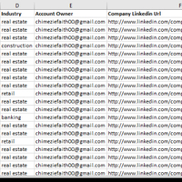 Generated leads for a real estate company 