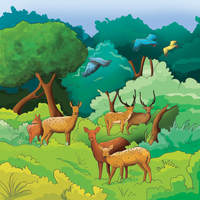 Portfolio Thumbnail 32