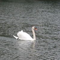 Portfolio Thumbnail 6