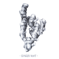 Portfolio Thumbnail 8